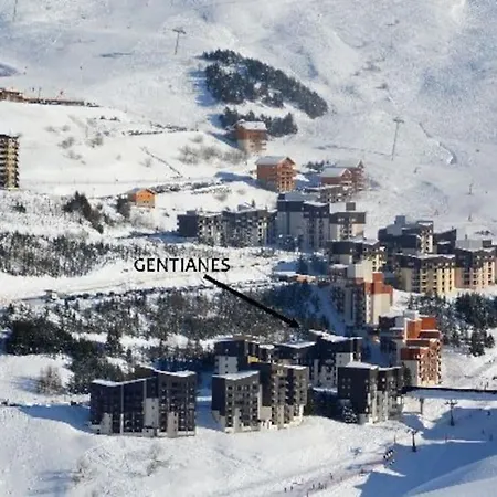 Les Gentianes 311 *